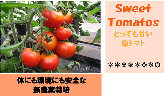 野菜を持つ男性のイラスト